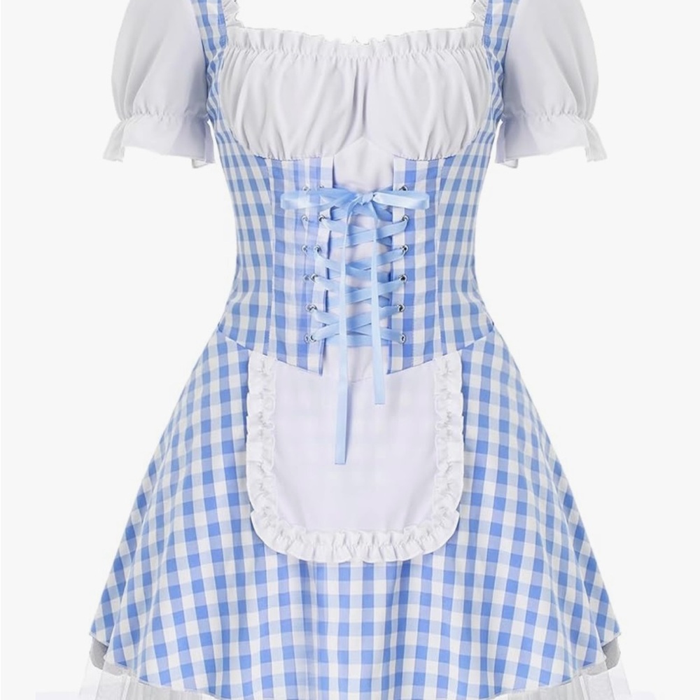 Blue Gingham Dress with Apron